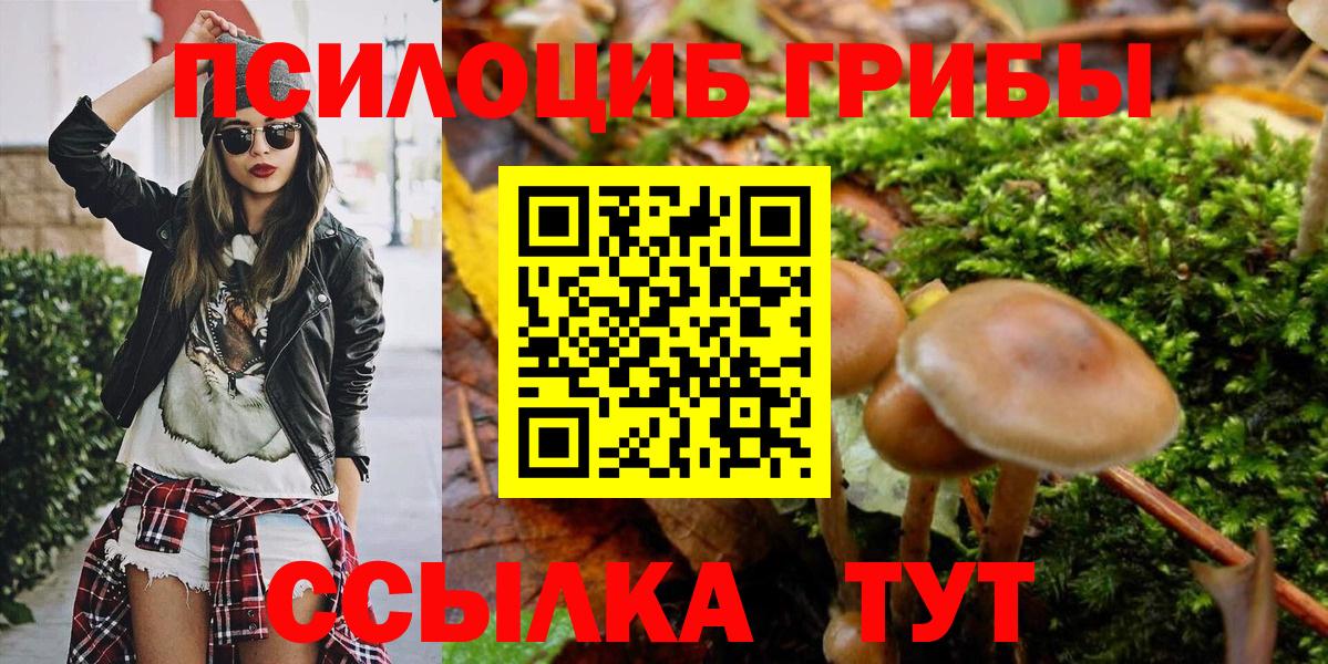 Владивосток  Галлюциногенные грибы GOLDEN TEACHER  Псилоцибиновые грибы мицелий  Вход с VPN 